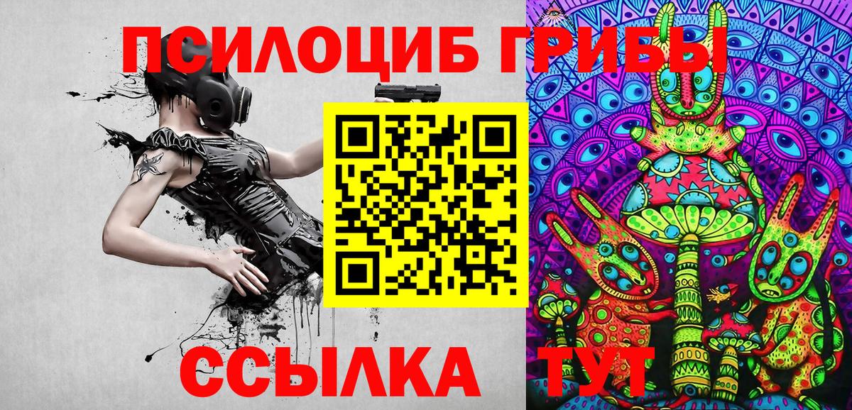 Псилоцибиновые грибы Magic Shrooms  Вход с VPN  Алапаевск  Галлюциногенные грибы ЛСД 