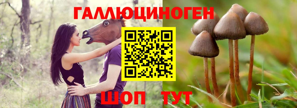 Галлюциногенные грибы MAGIC MUSHROOMS Алапаевск